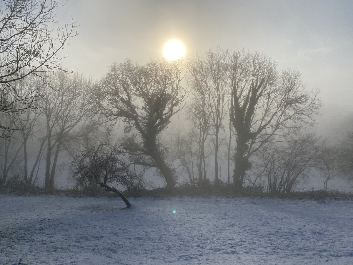 The stillness and silence is just beautiful #northdevon