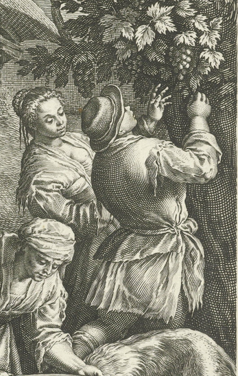 MozartCircle's tweet photo. @Spinazieacademi GESINA Tree&amp;Grapes NEWS
We have news about #Gesina &amp; #TreeGrapes!
First of all this engraving (1587-1595) by #RaphaëlSadeler after #JBassano. 
Man &amp; woman around grapevine on tree (certainly with allegory to #MatrimonyLife)!
Some compositional similarity to #Gesina!
[Full+Detail] https://t.co/ZCNlbuxouq