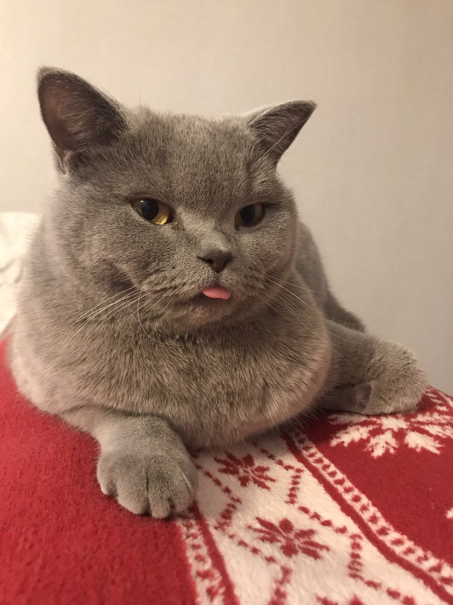 Ögggkk bu ne bişim gün yhaa