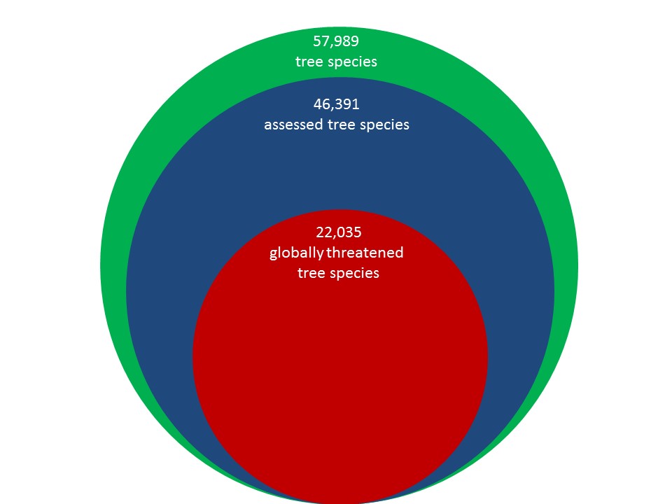 GlobalTreeAssessment tweet media