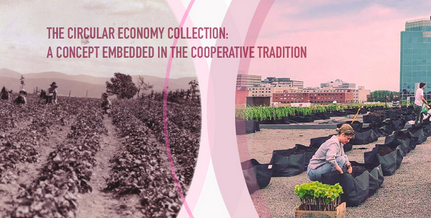 Our circular ecoomy &amp; cooperatives collection is online: a toolbox for cooperatives, a knowledge section with research articles and policies, and a section with circular cooperatives examples portailcoop.hec.ca/in/en/collecti… #circulareconomy  #cooperatives <a href="/icacoop/">International Cooperative Alliance</a> <a href="/CoopsCanada/">CoopsCanada</a>