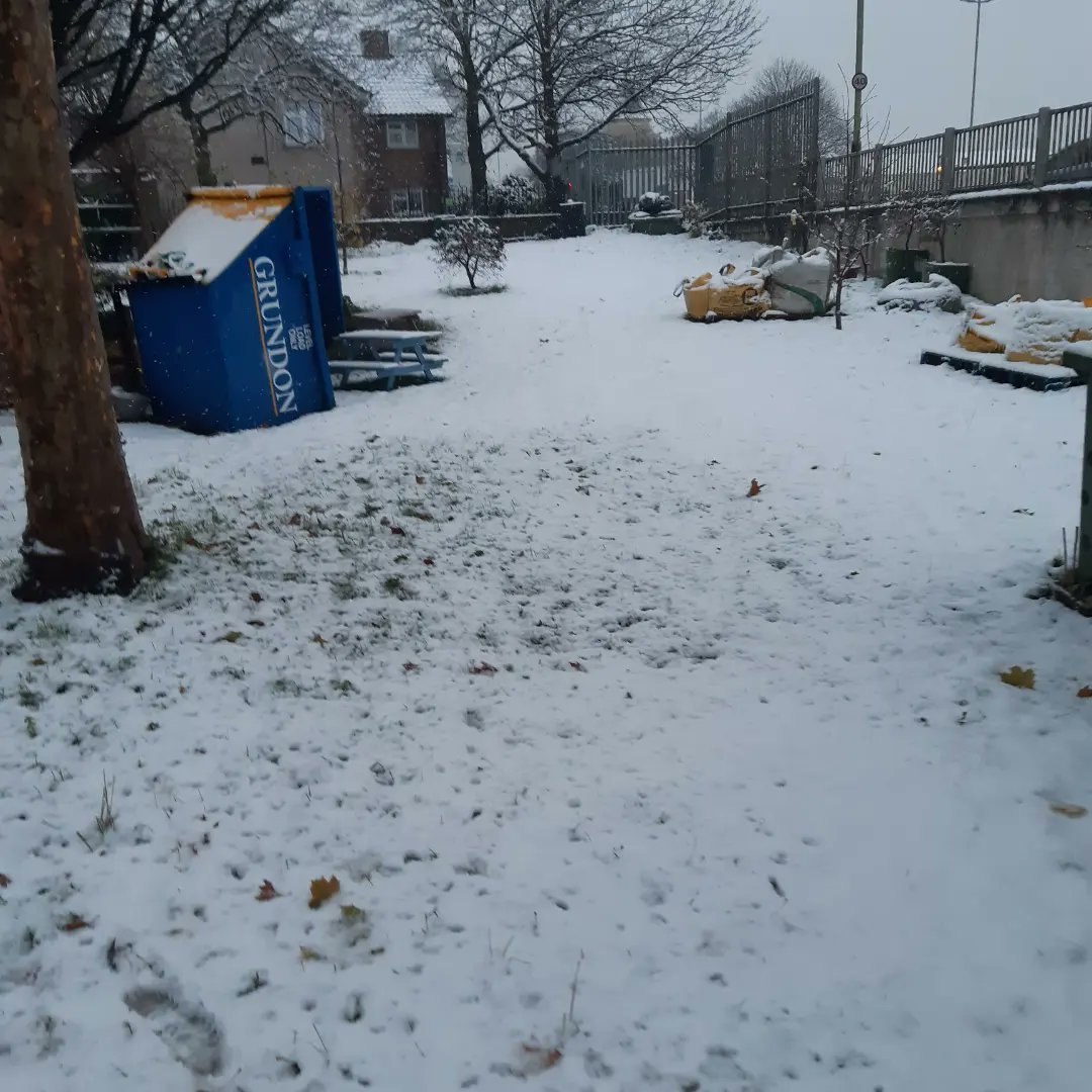 Alison, Friends of Elmfield tweet media