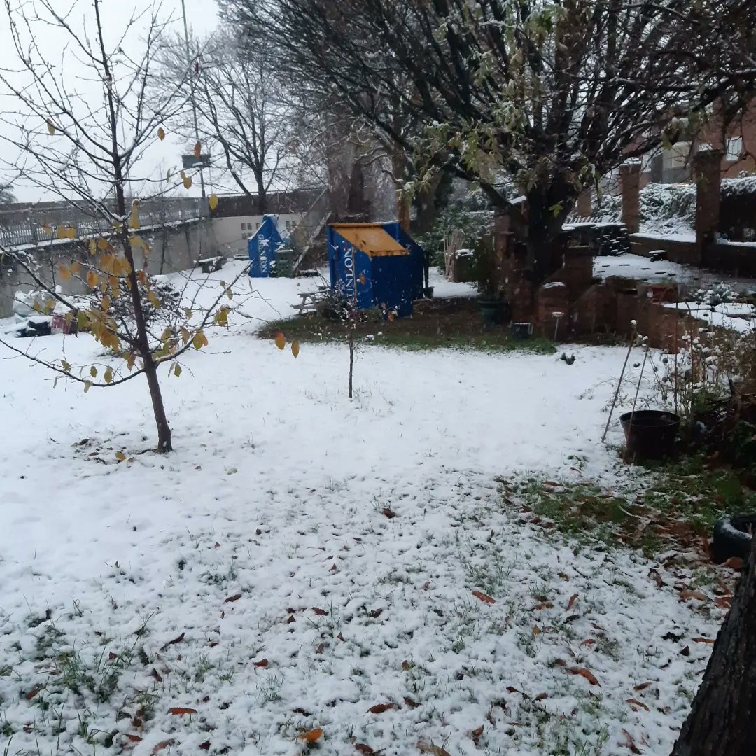 Alison, Friends of Elmfield tweet media