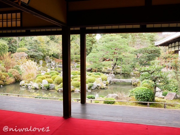 niwalove1's tweet photo. #等持院 ②
秋には紅葉が彩りを沿え、初夏にはサツキなど四季折々の花が咲き誇ります🌸
築山の茶室まで登ることができ、そこから望む庭園も美しいです。
方丈は2020年まで3年間の修復が行われ、床に #埋木 を使った修復も施されていました☺️
#京都 #神社仏閣 #kyoto #tojiin https://t.co/9iIC7akmrN