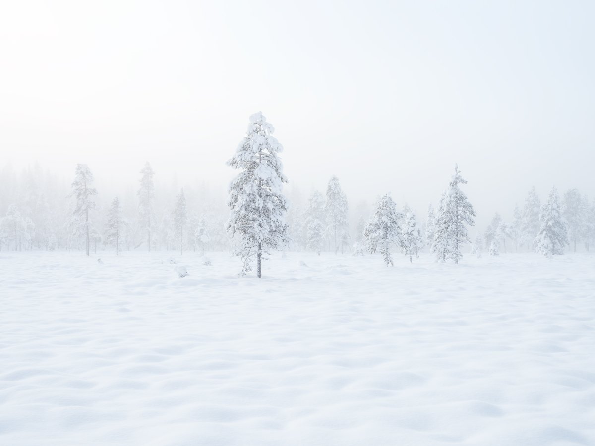 Magnus Lindbom tweet media