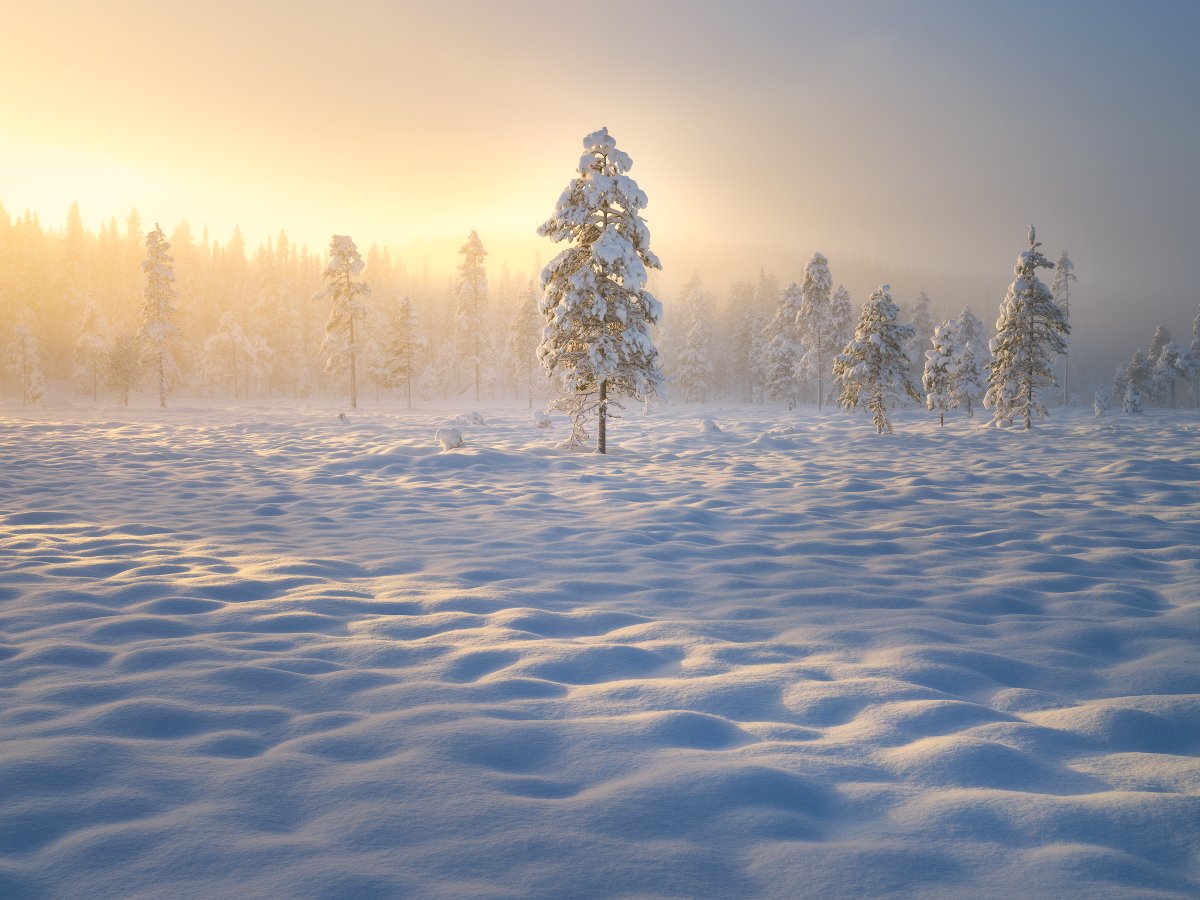 Magnus Lindbom tweet media