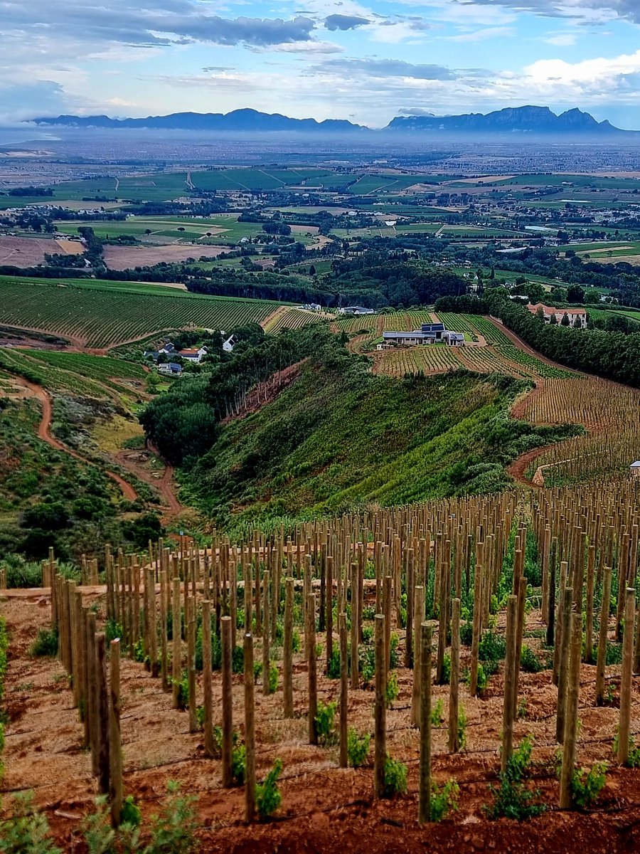 Schalk-W Joubert tweet media