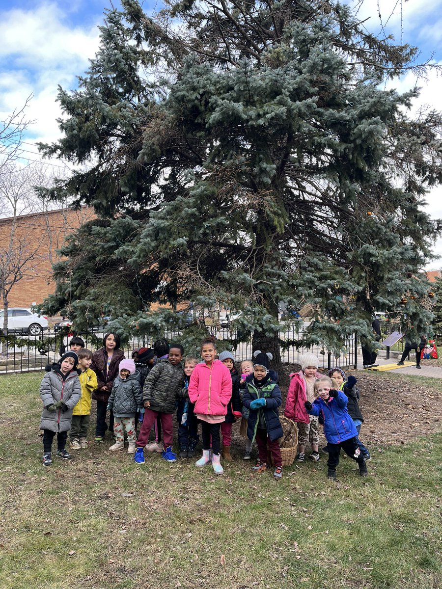 gelseapizzuto's tweet photo. We’ve had a wonderful few days making eco-friendly ornaments, then hanging them on the tree outside of Mackenzie Hall! What a wonderful community tradition for Brock. @gecdsbpro @Brockbulldogs https://t.co/88PyspMe0b