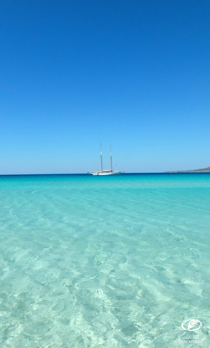 Sup tours in Greece start in Spring ...
April, 1 - 8 on Crete, April, 9 - 16 on Peloponnese
sup-slovenia-discovery.com/package/pelopo…
