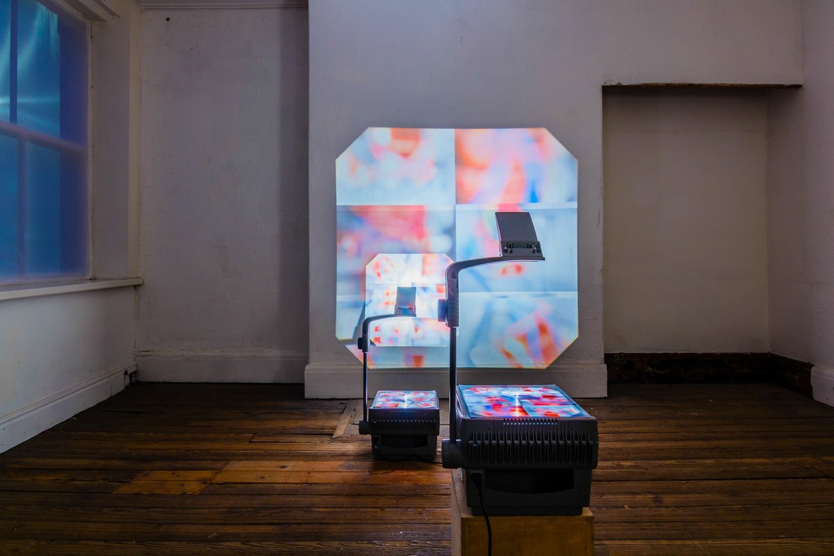 Holly Rowan Hesson tweet media