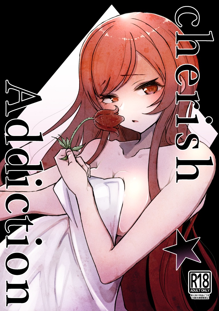 冬コミ頒布本表紙です 