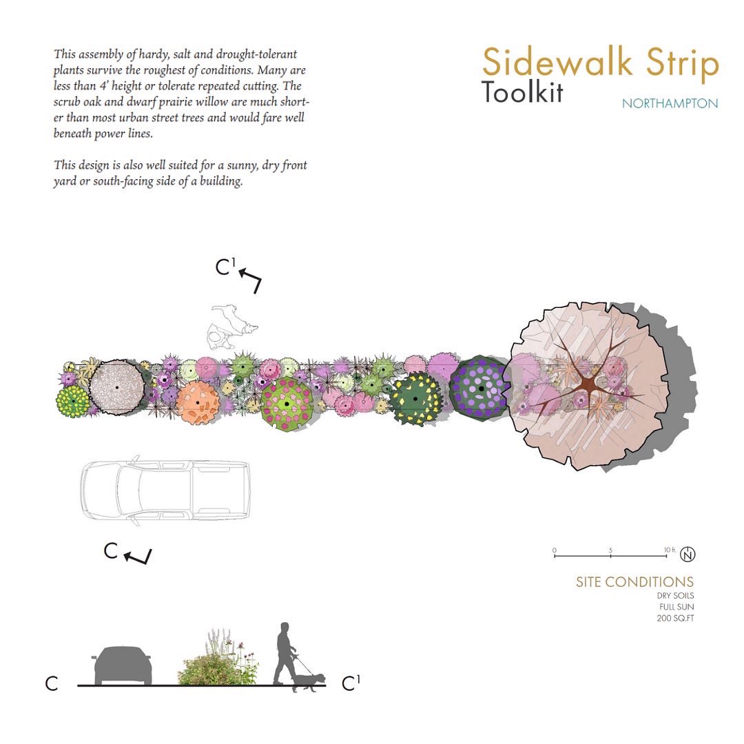 Evan Abramson tweet media