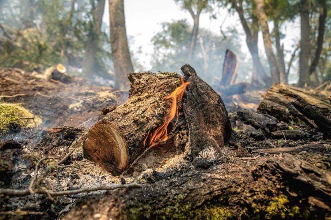 ConscienciaTdf's tweet photo. #tolhuinenllamas #ArdeTierradelFuego
#incendioforestal https://t.co/Pe9GmkwNJQ