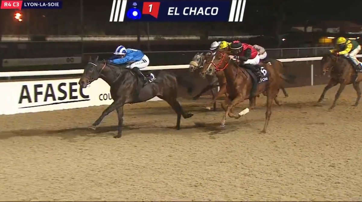 El Chaco s'impose aujourd'hui à @leshippodromesdelyon dans le Prix du Haras d'Ellon sous la selle de <a href="/fridavallee/">Frida Valle Skar</a>. Félicitations à toute l'équipe. 
<a href="/AprhChantilly/">Aprh</a>