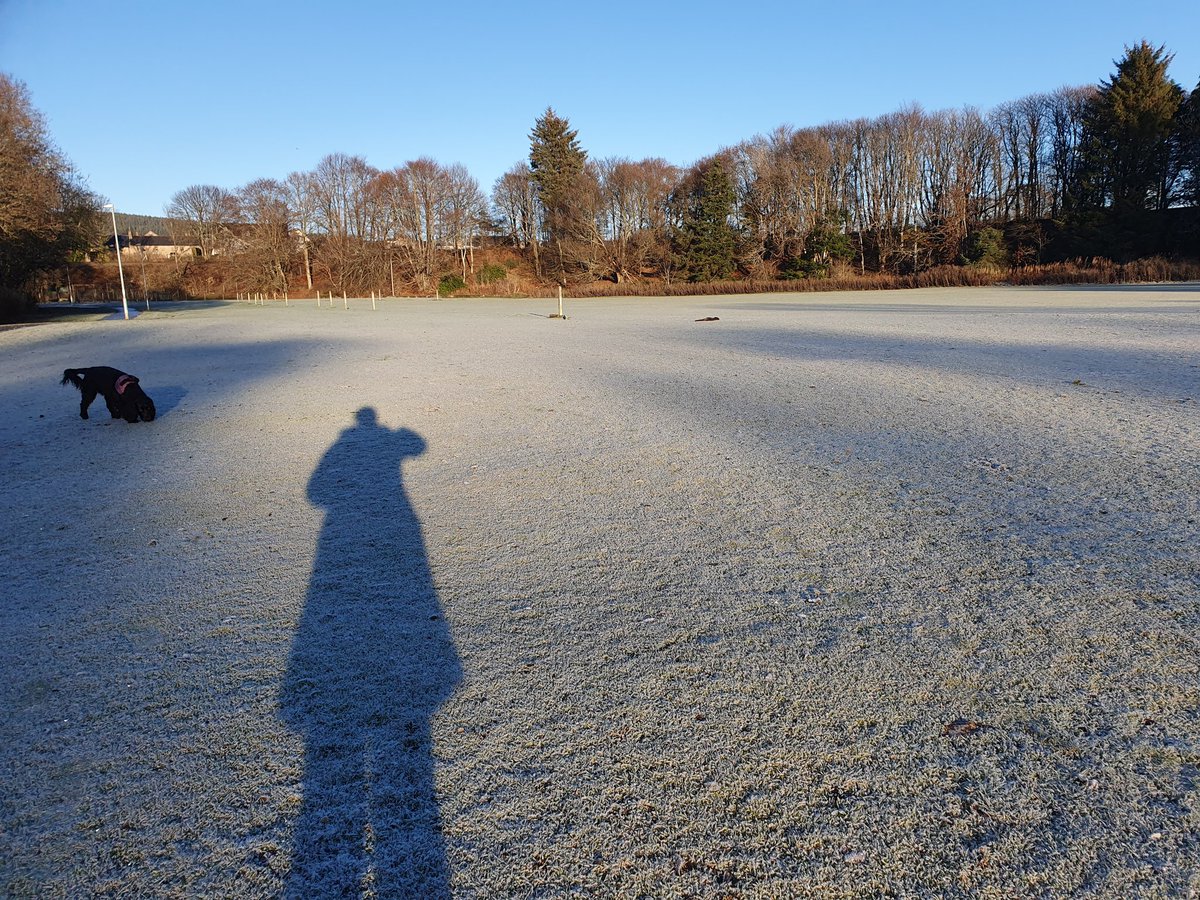 Greenfairies's tweet photo. @VodafoneUK No snow here yet. Here is some very thick frost instead https://t.co/AtCdhj49gX