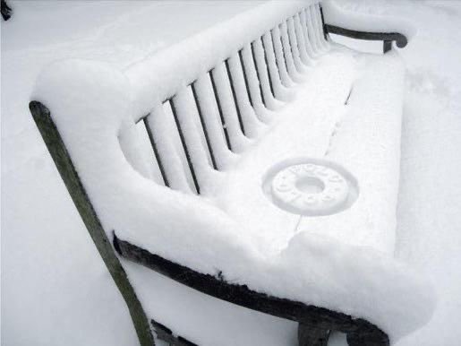 Simon Manchipp tweet media