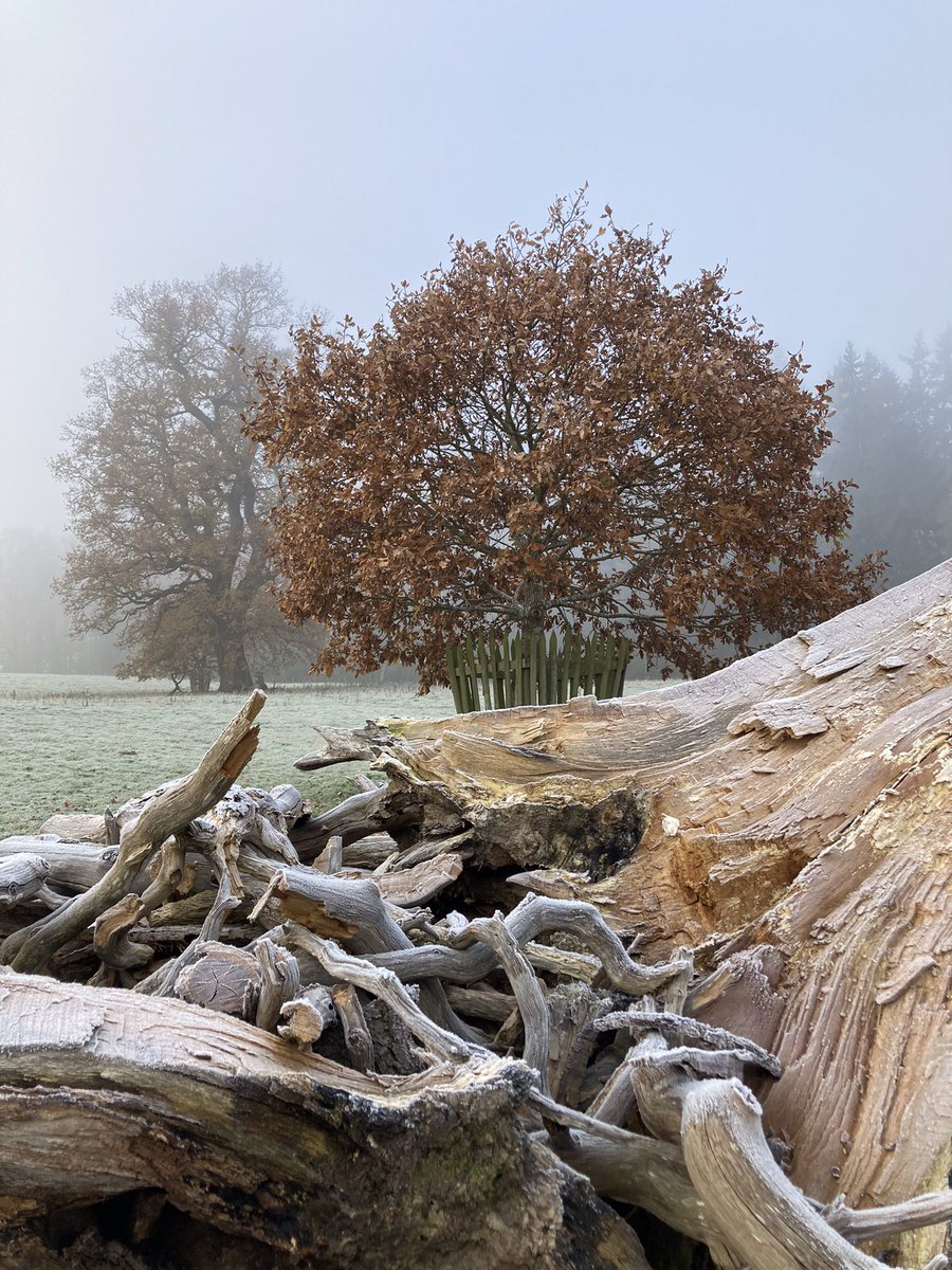 arcticsmudger's tweet photo. Great walk round @ChirkCastleNT today. https://t.co/Muo7Yw7Xlr