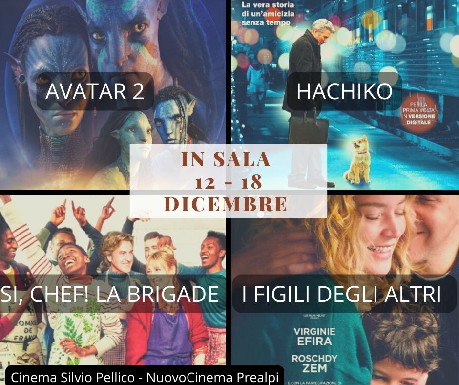 Cinema_Saronno's tweet photo. 🗓️Questa settimana nelle nostre sale:
🎬#SiChef! #LaBrigade
🎬#IFigliDegliAltri
🎬#Avatar2 #LaViaDellAcqua
🎬#Hachiko
🟠#CinemaSilvioPellico e 🔵#NuovoCinemaPrealpi
✅Orari e biglietti https://t.co/JIaZKThWFs
#cinemaSaronno #SoloAlCinema #DaNonPerdere #Saronno #Saronno https://t.co/MBrNcYptgB