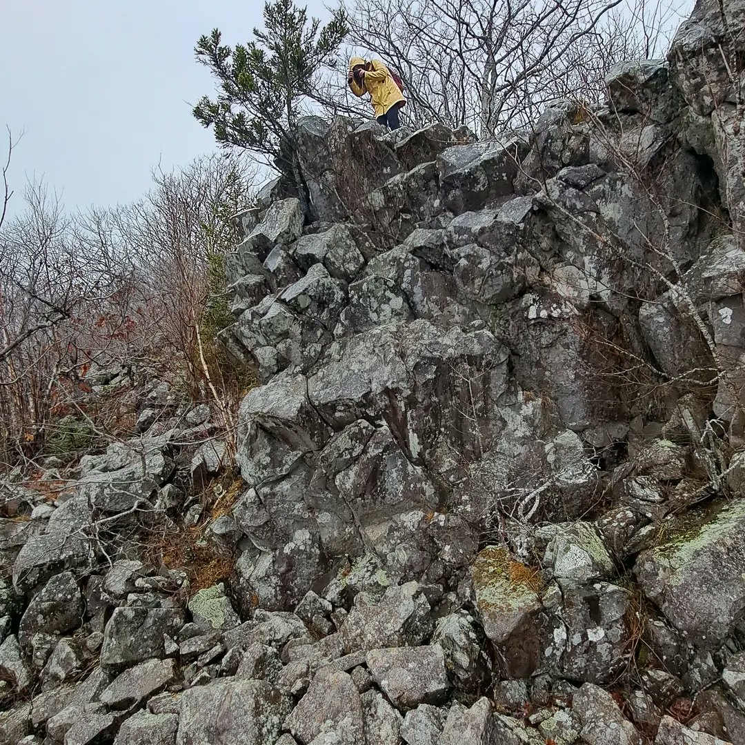 The photo ➡️ The photo precariously being taken. 
 
#mountainsofnovascotia #hikens
#VisitNovaScotia #explorenovascotia #capturenovascotia