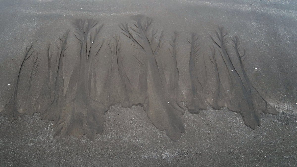 AnnBruen's tweet image. It’s amazing what you notice when you think there’s nothing to see - Natures’ sand drawings on a very foggy Bull Island this morning.

#sandpatterns #naturessanddrawings

@EarthandClouds @BBCEarth @LovinDublin @VisitDublin @AimsirTG4 @deric_tv