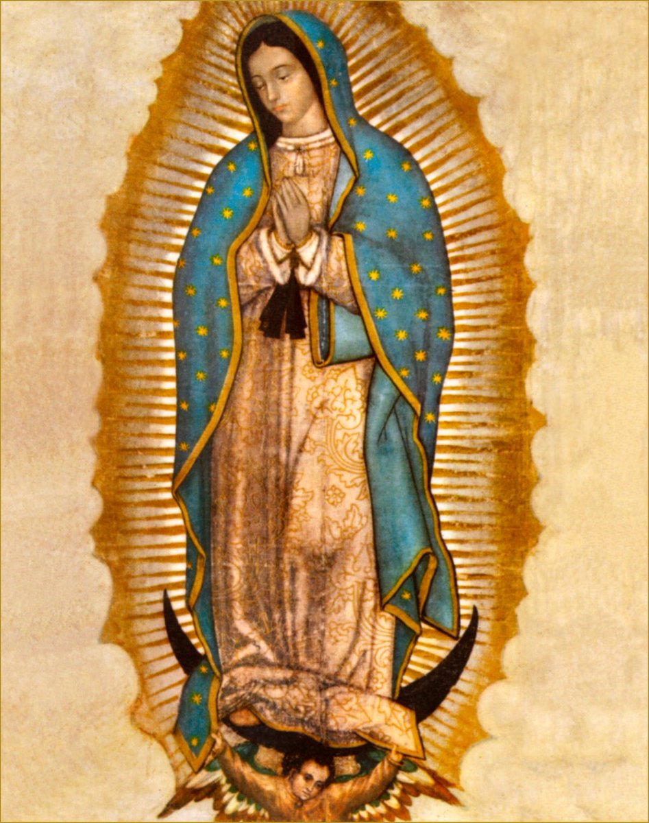 Am I not here, who is your Mother? 
Are you not under my protection? 
Am I not your health? 
Are you not happily 
within my fold? 
What else do you wish? 
Do not grieve nor be 
disturbed by anything.

-Our Lady of Guadalupe