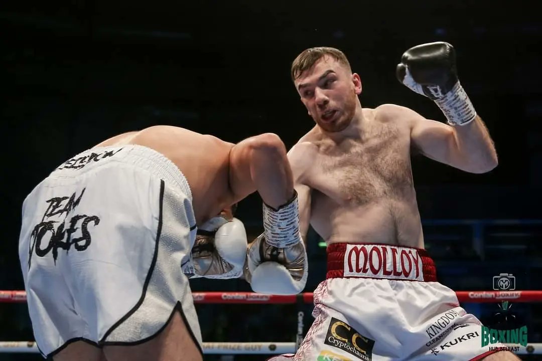 Boxing Hub Belfast tweet media