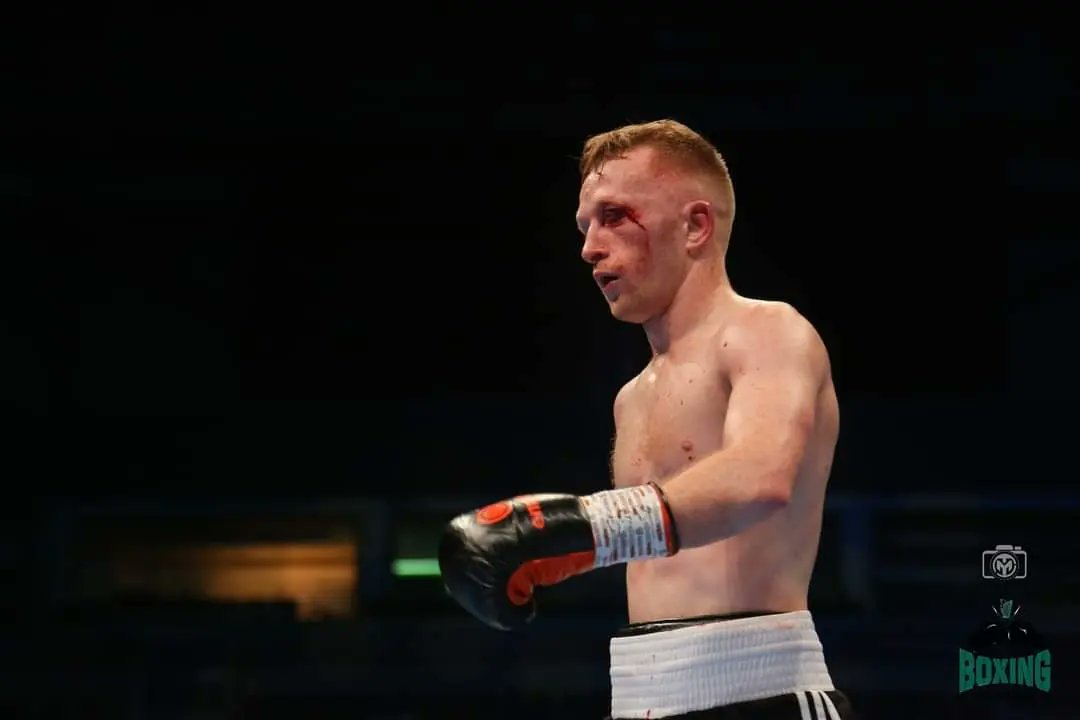 Boxing Hub Belfast tweet media