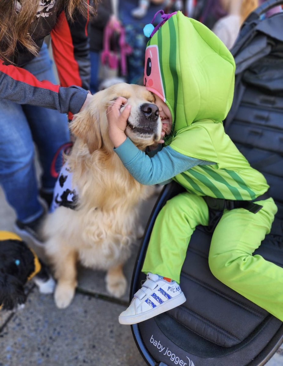 GoTeamTherapyDogs tweet media