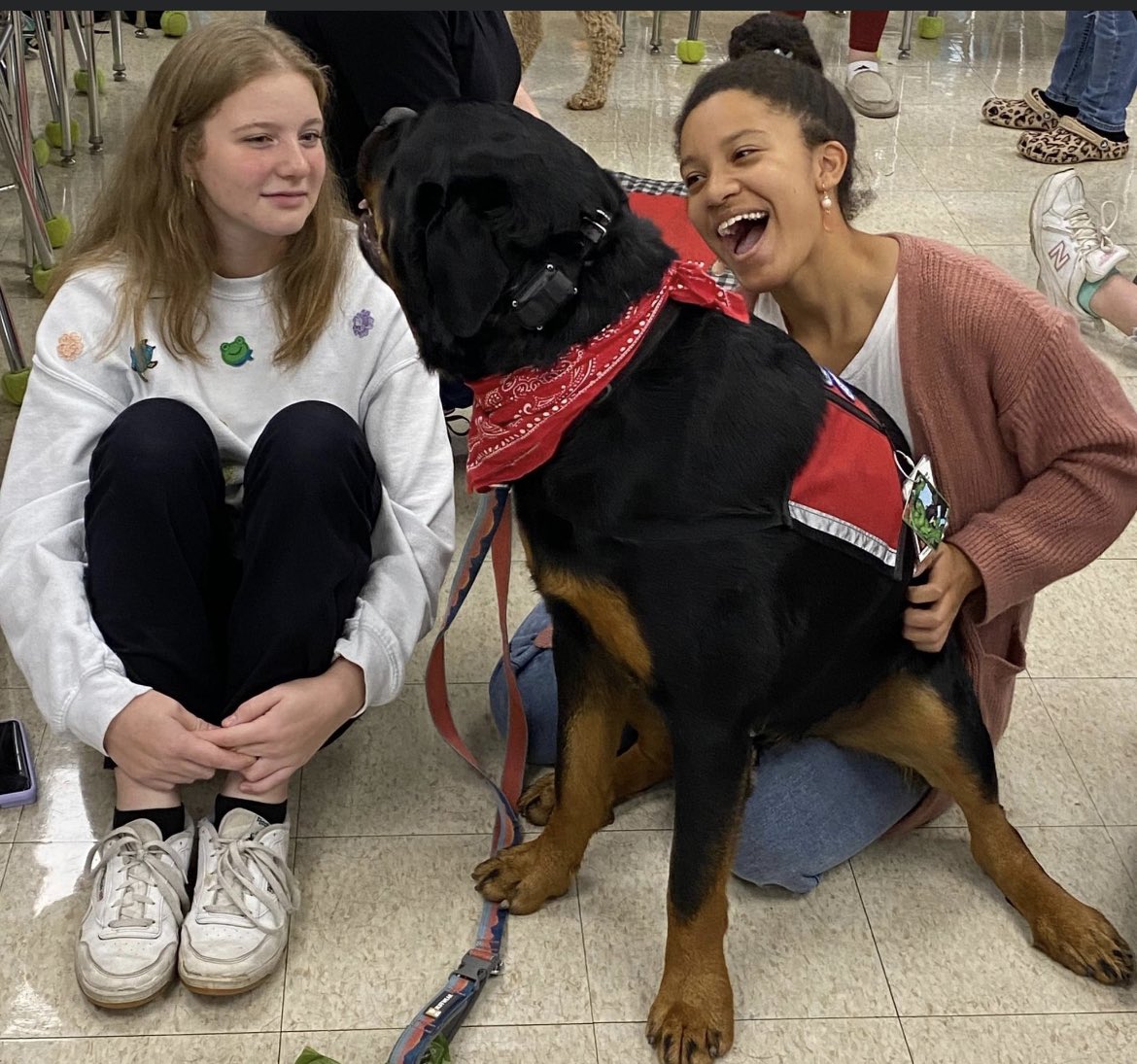 GoTeamTherapyDogs tweet media