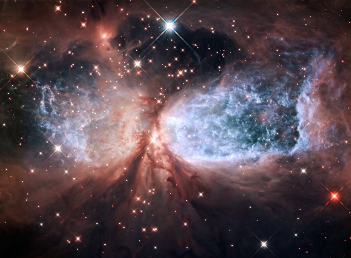 csa_asc's tweet photo. Can you see the soaring, celestial snow angel in this bipolar star-forming region  ? ❄️ Known as the Sh2-106 nebula, it lies nearly 2,000 light-years from us in a relatively isolated region of our Milky Way Galaxy. 🌌

Credit: NASA, ESA, and the Hubble Heritage Team (STScI/AURA) https://t.co/cDSImavqVy