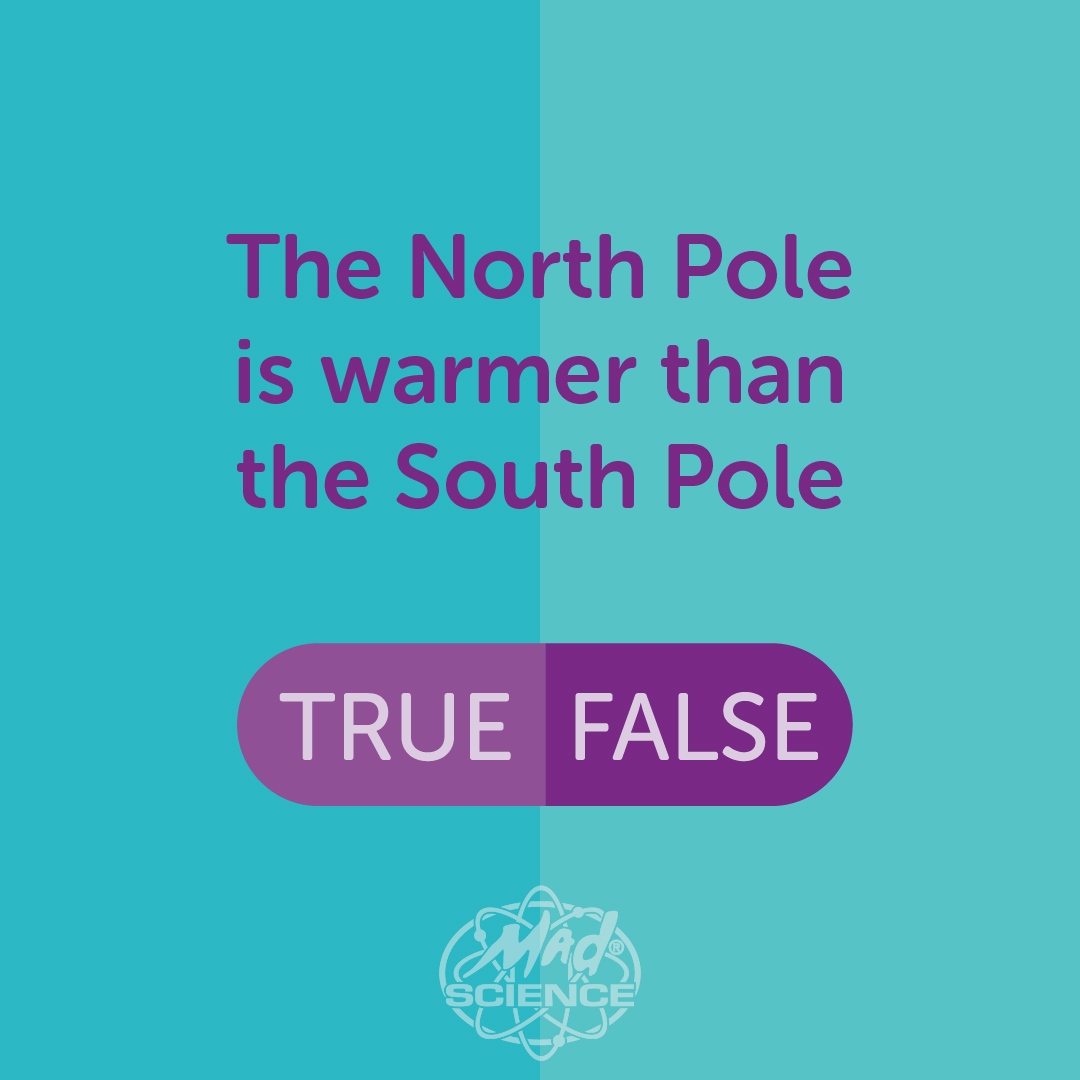 True or false? The North Pole is warmer than the South Pole. 

#madsciencetoronto #trivia #didyouknow #sciencefun #scienceforkids #scienceiscool #STEMkids #torontokids