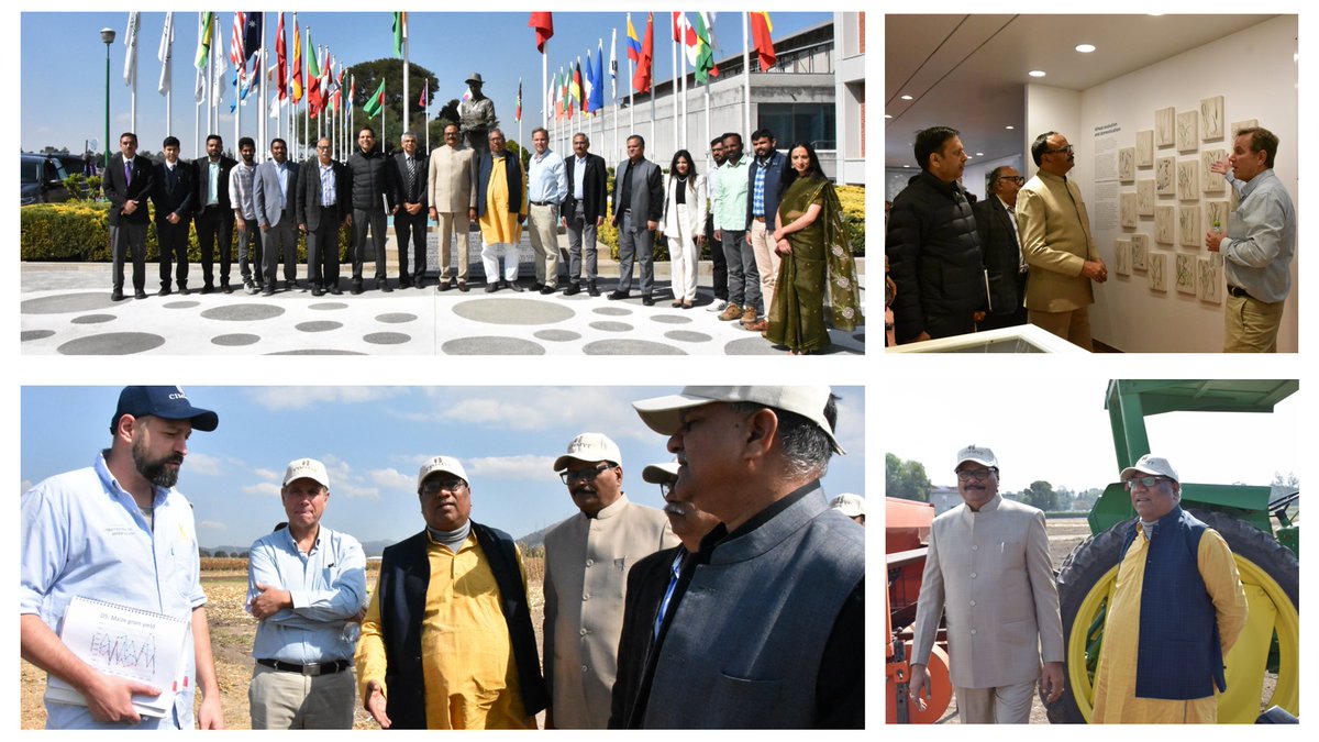 bramaccimmyt's tweet photo. It was a pleasure to have a delegation of @IndEmbMexico and high-level officials from the Government of Uttar Pradesh visiting @CIMMYT’s global headquarters in Mexico. A great occasion to showcase the impacts of this long outstanding collaboration. #Partner4Impact https://t.co/Z5NedBZxpz