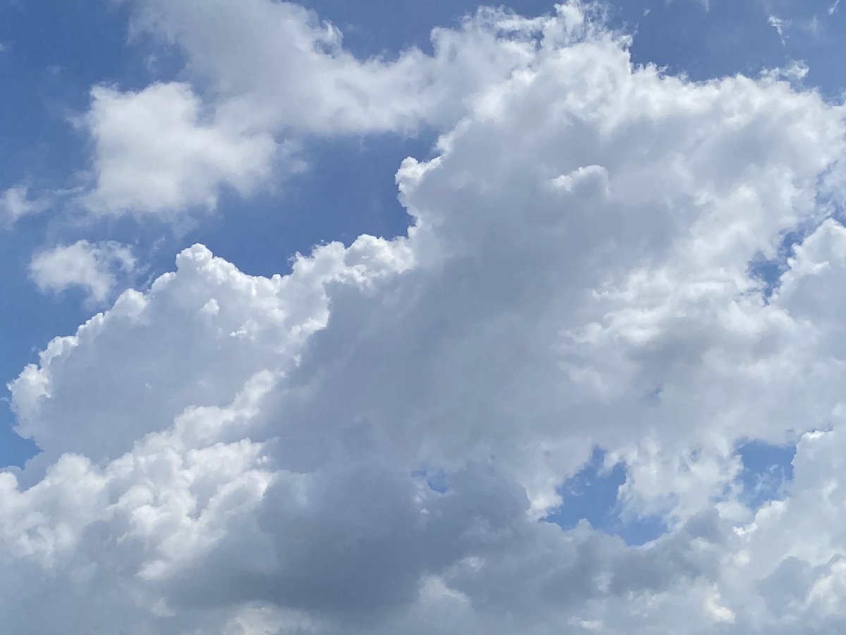 cIoudkind's tweet photo. ☁️🌿: This is a hard pill to swallow but.. not everyone are friends. And that’s okay. You need to know who your people are; the ones who support you through tears and laughter, the ones who are truthful to you no matter what, and the ones who will love you unconditionally. https://t.co/Yc7uPG2EEn