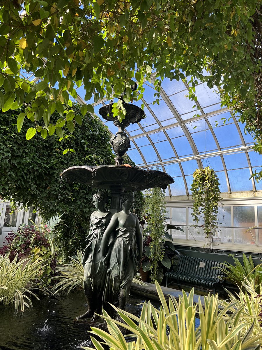 Ventured to the @NYBG for my one-year defense anniversary. Everything green is always nice… except if it’s due to #bileacid build up 🤪

#postdocchat