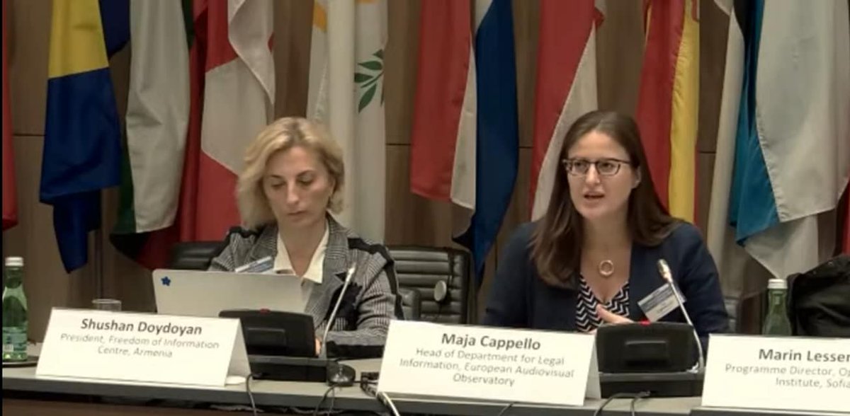 EuAvObservatory's tweet photo. ‘@maja_cap discusses burning media (freedom) literacy issues during a roundtable in Vienna organised by @OSCE_RFoM.
⏯️ Watch the recording of the event ➡️ https://t.co/226AWlhKU8
#MFLIT https://t.co/NoGkGoizUs