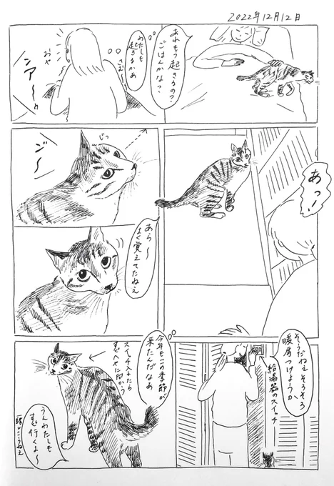 2022/12/12のぎんちゃん #今日のぎんちゃん 