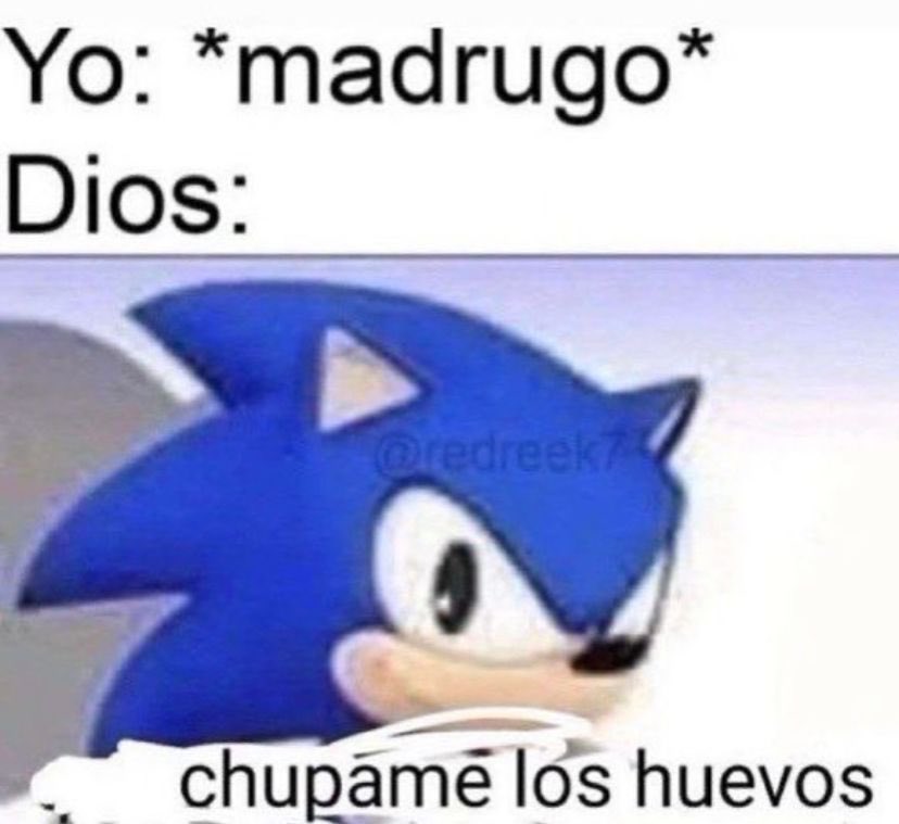 Podría subir este meme todos los días