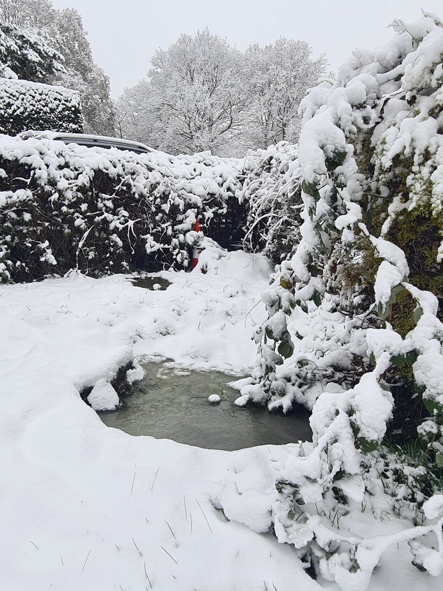 Toukie Mortimer tweet media