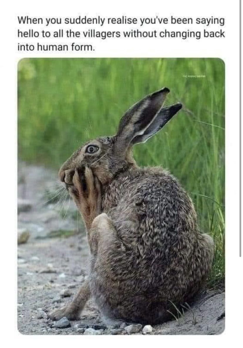 Jacqueline Haigh tweet media