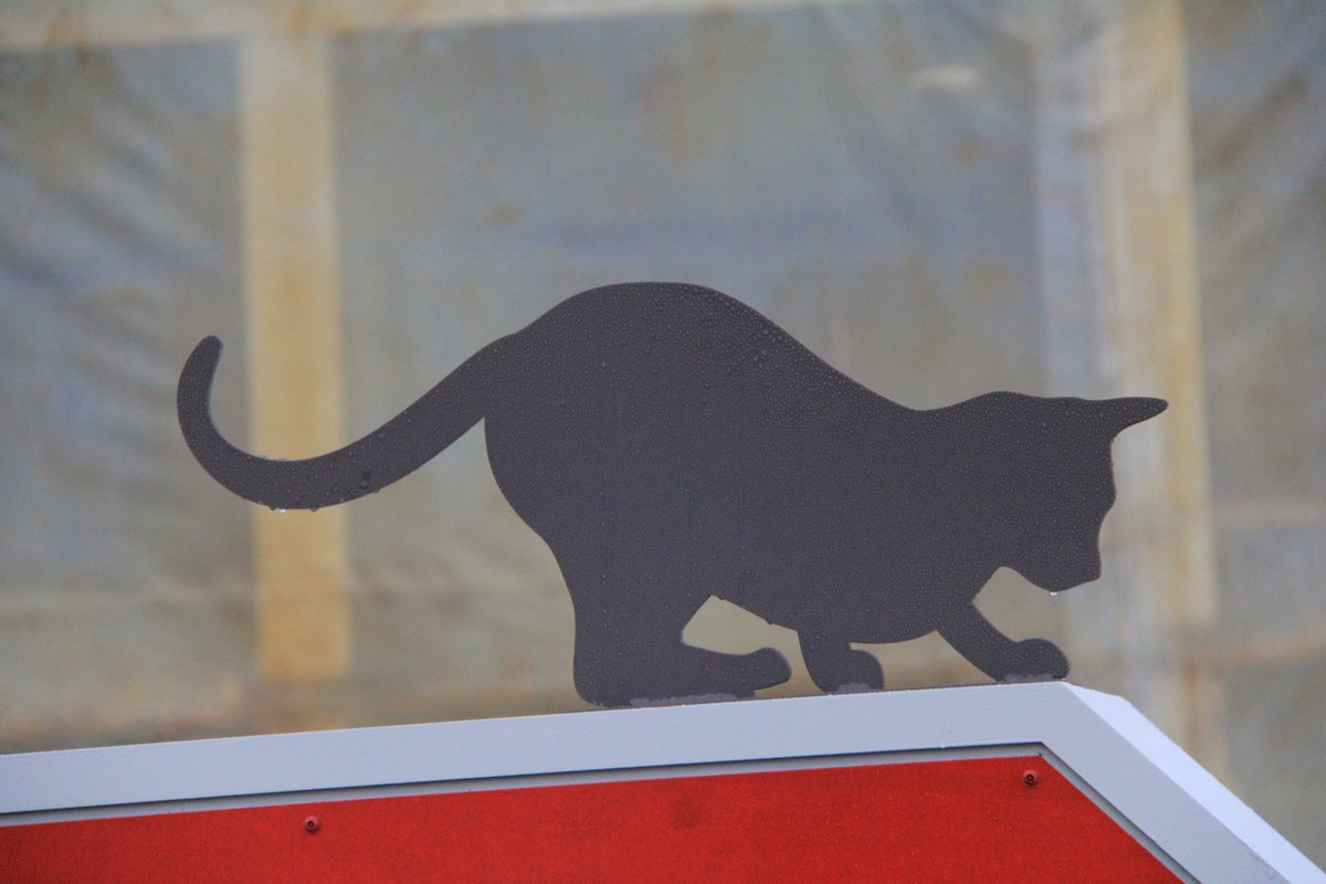 ns_mma's tweet photo. Check out our new waterfront #CSSAcadia installation!  It features some fun surprises, as well as stories and images related to the ship’s history, past crew, and even ship cats! https://t.co/OxBa6cqCf6