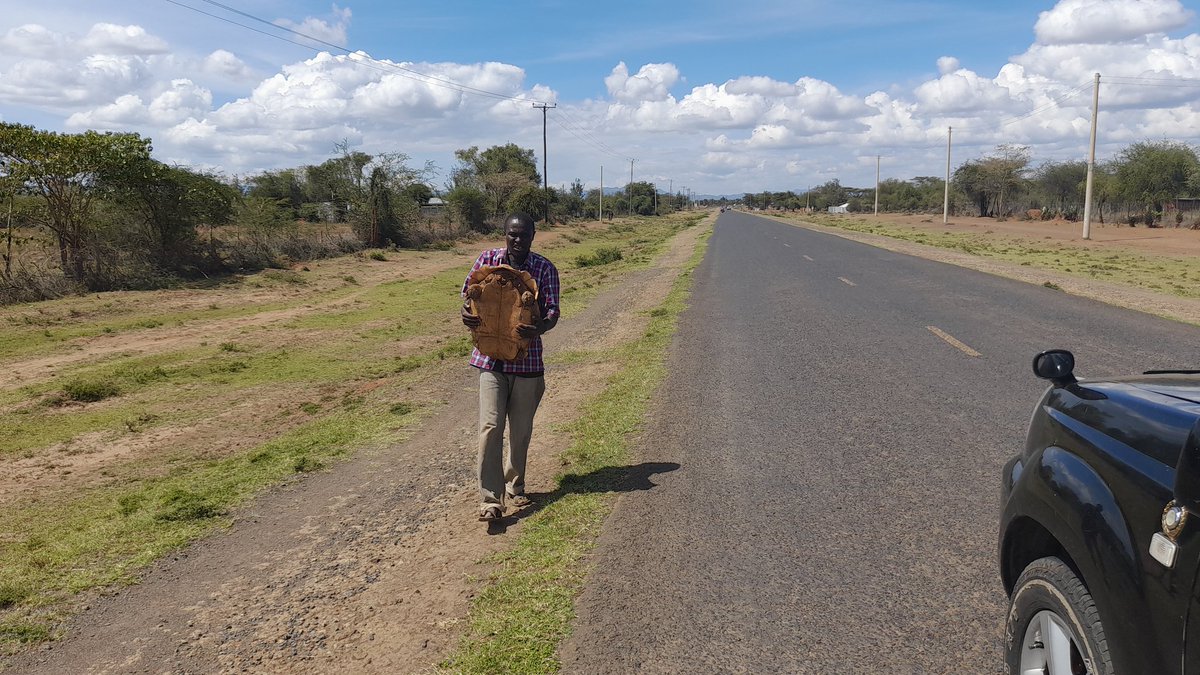GalleryKhately's tweet photo. @kwskenya where does one bring a rescued tortoise? https://t.co/pbhXxWsVrc