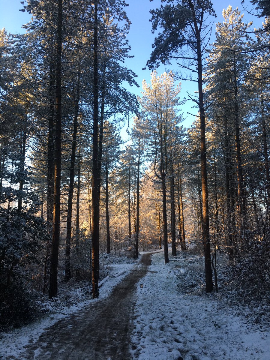 Emily Whiteley tweet media