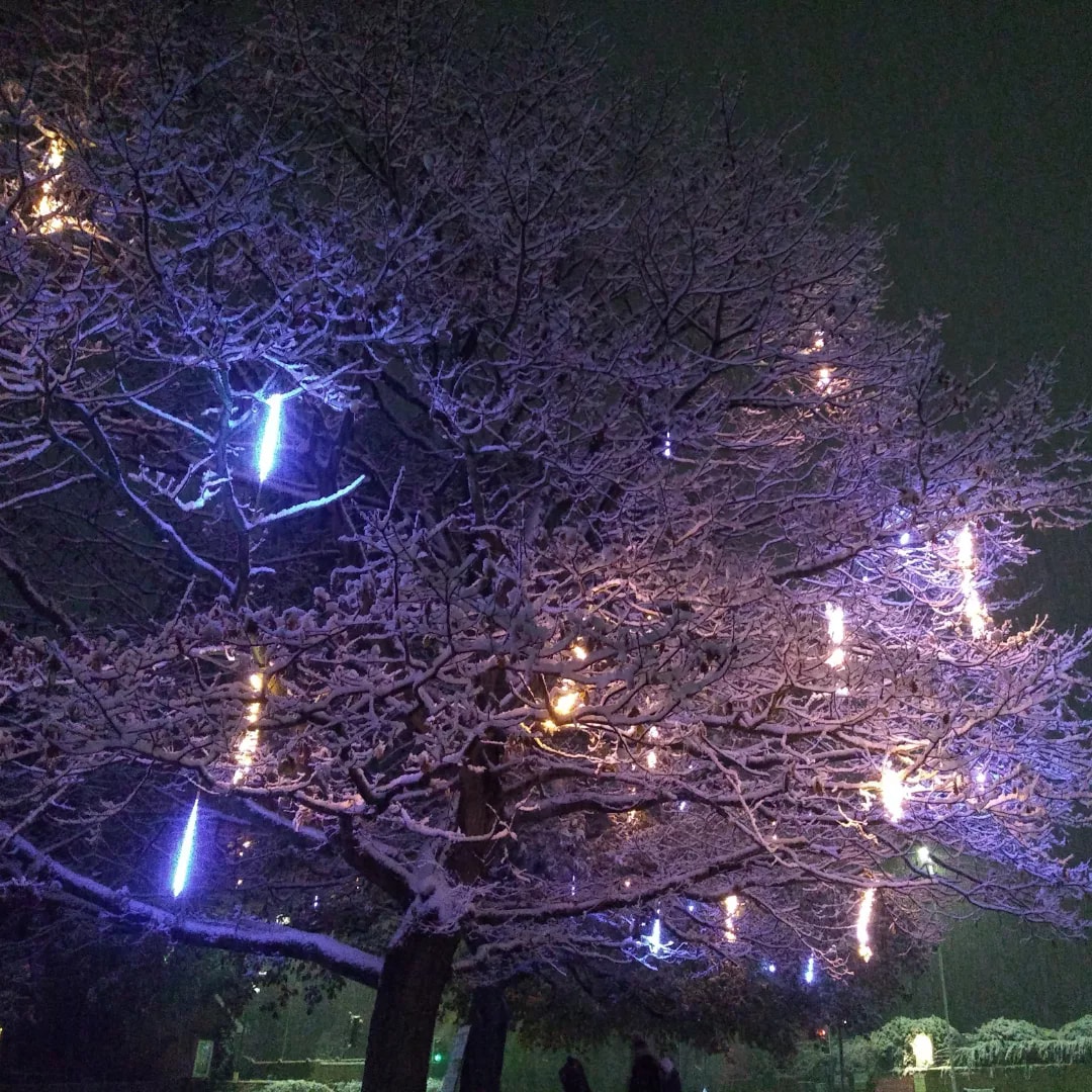 With the horrors of the few years it was really lovely to see families out and about in 'Bury, hearing kids shrieking, and generally just seeing people being goofballs. ☃️❄️🎄