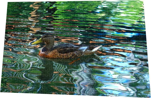 #PuzzleOfTheDay
'A Duck in Disguise'

Easy or difficult? What do you think?

kathrin-poersch.pixels.com/featured/a-duc…

#BuyIntoArt #puzzle #jigsaw #jigsawpuzzle #duck #birdphotography #photography #ThePhotoHour #disguise #puzzlelover #ilovepuzzles #nature #PhotographyIsArt #shopsmall #WomensArt