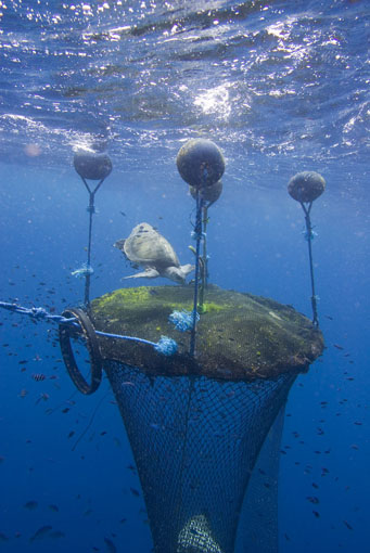 <a href="/johnwest_uk/">John West UK</a> <a href="/XantheClay/">Xanthe Clay</a> Hi John West, we sent a letter to you in August but still no reply! Pls could tell us when you will respond to our sustainability concerns about your company? Mostly you source tuna from highly destructive Fish Aggregating Devices (FADs)
BIG PROBLEM!
…f-4016-af0b-25cf996d1360.usrfiles.com/ugd/06cb1a_e15…
<a href="/ISSF/">ISSF</a>