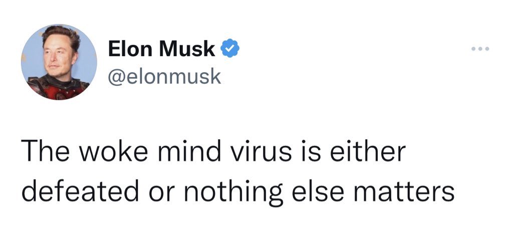 The richest man on the planet, whose lavish upbringing was financed by an emerald slave mine in Zambia, wants you to believe that growing awareness of systemic inequality and injustice is the number one existential threat. 

I wonder why.