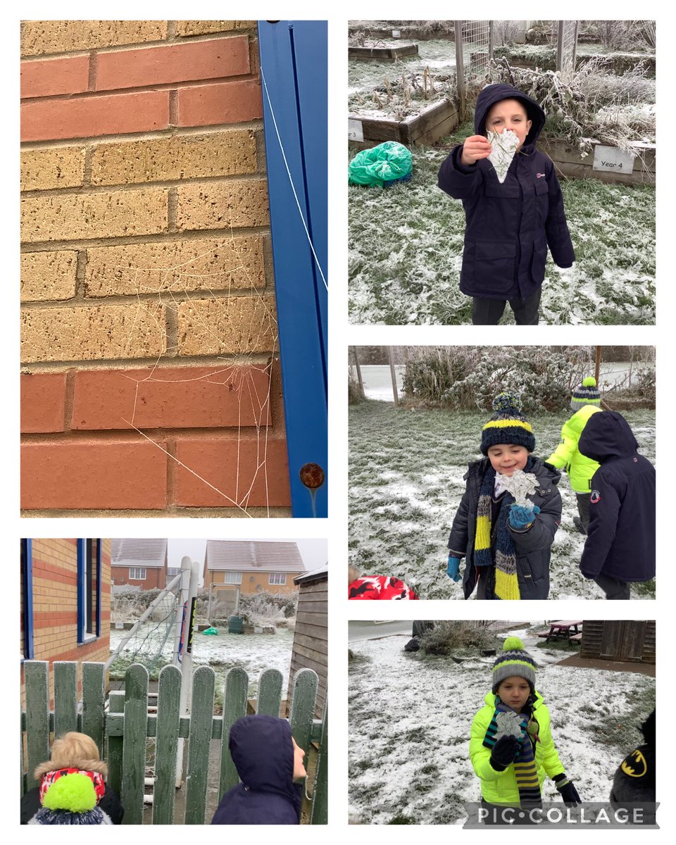 MonksdownHive's tweet photo. Today we went out exploring our wintery surroundings. We found a frozen spiders web, frosty fencing and crunchy ice all over the grass.  We had to wrap up warm and be careful not to slip and fall. ⁦@MonksdownSTEM⁩ https://t.co/tCJJH41Mhr