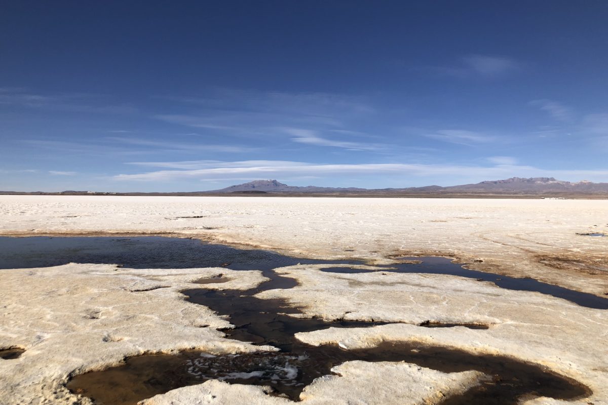 As the Bolivian government negotiates business dealings with foreign lithium companies, questions remain about the future of local desert ecosystems and the Indigenous communities that steward them, @MaxRadwin reports. news.mongabay.com/2022/12/five-p…
