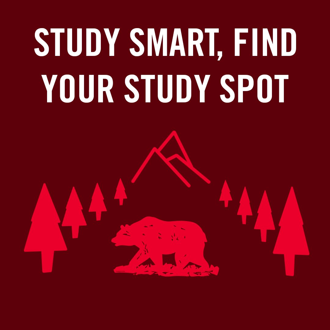 Some Bears like quiet secluded spaces, while others thrive in a more public environment. Find what study space works best for you.