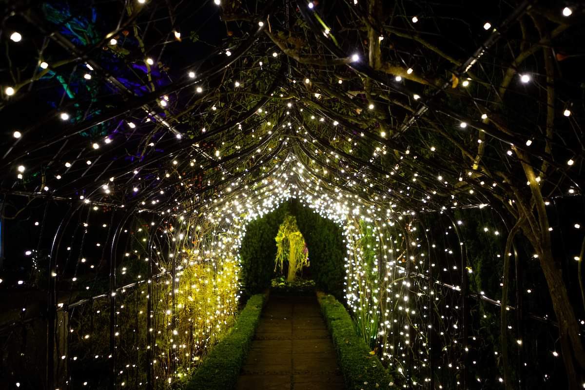 StockwoodDC's tweet photo. Why you should visit Stockwood Illuminated: a thread 🧵 🪡 (1/9) https://t.co/L3TbNHbm8L